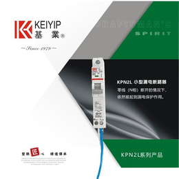 东莞基业电气KPN2L微型漏电断路器 空气开关 低压电器