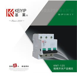 东莞基业电气KNT-125隔离开关 断路器 低压电器
