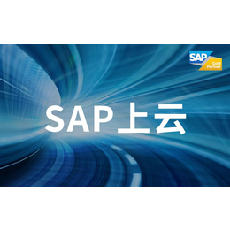 SAP BW迁移到S4实施服务商 SNP公司缩略图
