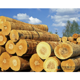安哥拉紫檀进口报关须知数据整理进口木材必要看的小细节