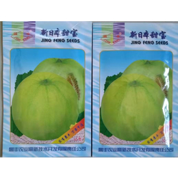济南新日本甜宝甜瓜种子批发价格 品种好甜瓜种子