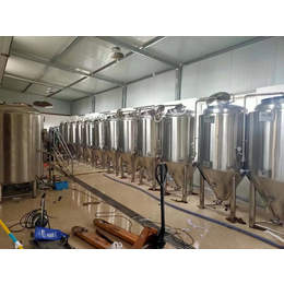 5000升中大型精酿啤酒设备定做厂家酒厂酿酒设备