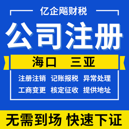 海南海口三亚公司注册营业执照企业代理记账报税工商异常注销