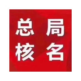 海外公司在北京注册公司