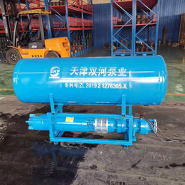 天津双河 浮式水泵 浮筒泵 农田灌溉泵 河道取水泵