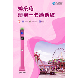 青岛游乐园家庭套卡管理软件 游乐园售检系统