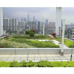 湖北屋顶绿化-安徽洸森绿化工程-校园屋顶绿化