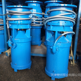 天津双河 QZB轴流泵大流量潜水泵井筒式潜水轴流泵缩略图