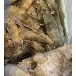上海进口冻虾的操作流程