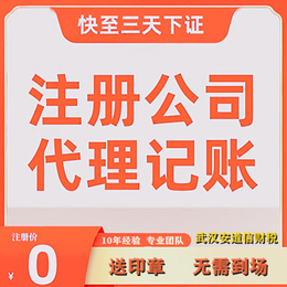 武汉东湖高新区公司注册企业工商注册营业执照注销记账公司