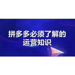 拼多多无货源电商代运营店群工作室加盟自然流精细化铺货全套玩法