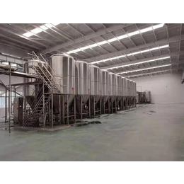 福建啤酒厂年产5000吨自动化精酿啤酒设备大型啤酒设备缩略图