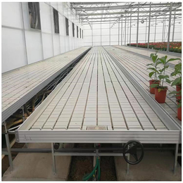 农业温室潮汐式灌溉苗床的优点航迪苗床生产厂家按需定制