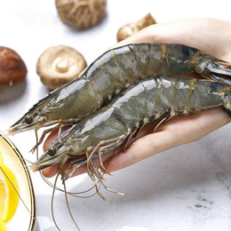 进口黑虎虾水产品海鲜清关操作代理