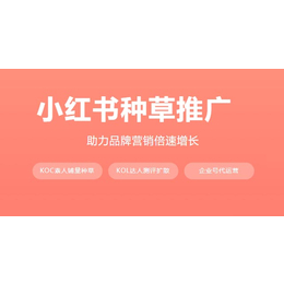 小红书广告投放流程 红书投放广告上海天