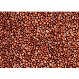 广州进口咖啡豆需要准备的单证和注意事项