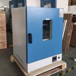 供应北京批量生产DHG-9000系列高温烘箱