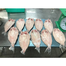 巴沙鱼水产品海鲜进口青岛港清关资料
