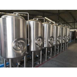 日产20吨的大型啤酒厂精酿啤酒设备 生产啤酒设备的厂家