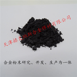 FeNb60铌铁粉 60目高纯铌粉可加工定制各种含量