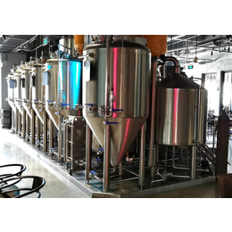 夏日啤酒派对大型自动化酿造啤酒设备机器一套多少钱