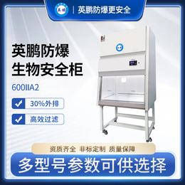 英鹏防爆生物安全柜-600IIA2-外排