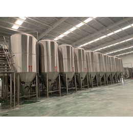 5000升大型原浆精酿啤酒生产加工设备厂家