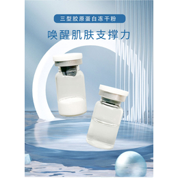 广州三型胶原蛋白冻干粉生产厂家-广州募森药业有限公司