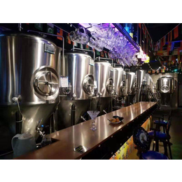 湖南精酿酒馆小型啤酒设备500升啤酒糖化设备
