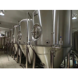 南充酒厂年产1000吨的大型精酿啤酒设备