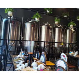 自动化啤酒设备生产线酒厂年产30吨啤酒设备生产厂家