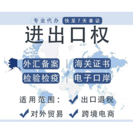 上海注册进出口公司流程