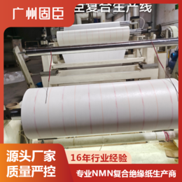 nomex复合绝缘纸nmn6640 耐高温电机绝缘纸