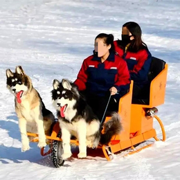 网红狗拉雪橇车  可定制宠物模型