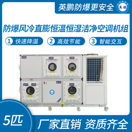 防爆风冷直膨恒温恒湿洁净 纺织厂用空调机组5匹