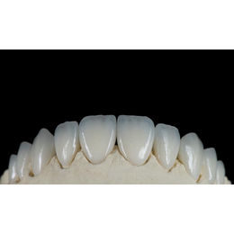 美国假牙口腔义齿 固定义齿厂家公司 制造商供应商
