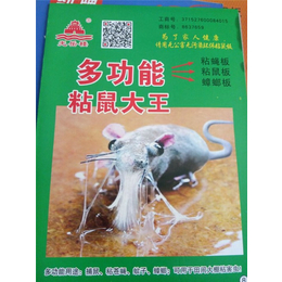 山东哆咪多粘鼠板公司(多图)-徐州粘老鼠板