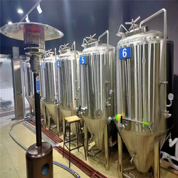 宜昌自动化酿酒设备啤酒厂大型精酿啤酒设备供应厂家
