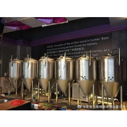 宁波大型精酿啤酒设备制造厂商5万吨啤酒设备