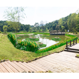 室外花卉植物价格-重庆室外花卉植物-环路景石