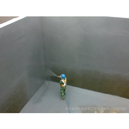 汉高厂家生产LM纳米复合防水涂料 干湿基面均可施工
