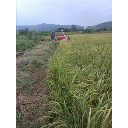 小型水稻多功能收割机视频-贺州多功能收割机-中热农业机械设备