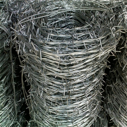 上海现货包塑刺绳厂家供应长宁不锈钢刺铁丝普陀不锈钢有刺铁丝网