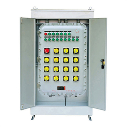 BSG-T系列防爆电控柜成都可以非标定制成都防爆动力柜