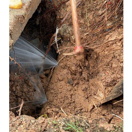 清远水费剧增漏水检测 小区地面渗水检测