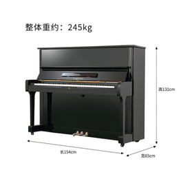 电子琴和钢琴的区别-工业园区钢琴-江苏苏州联合琴行(查看)