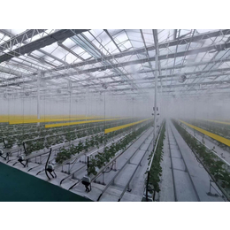 夏季蔬菜大棚降温加湿消毒系统工厂车间人造雾机器雾森厂家缩略图