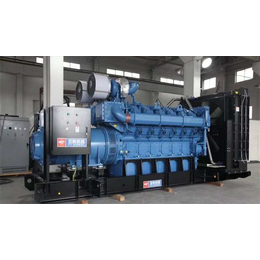 玉柴发电机组-德曼动力科技公司-700KW玉柴发电机组