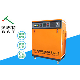 电加热蒸汽发生器价位-贝思特-浙江电加热蒸汽发生器