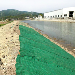 椰丝生物毯高强绿化护坡 河道边坡生物毯 加筋耐老化厂家